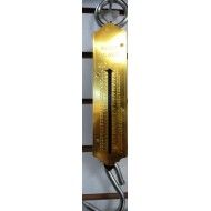 100kg Spring Scale,36/C