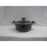 Non Stick 22cm Cooking Pot w/cover and 2 ears,8/C