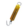 100kg Spring Scale,36/C