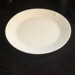10.2" Opal ware White Dinner plate